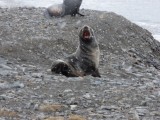 It's freakin' cold out here!