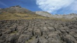 DSCF0690