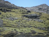 DSCF0715