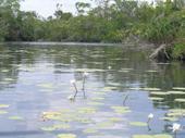 Canal en la Laguna de Bacalar