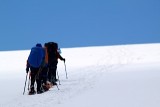 IMG_6291