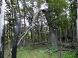 DSCN4838