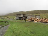 A mi regreso de cabalgar por trochas de la montaña