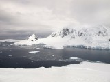 IMG_1551