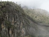 montañas y frailejones