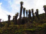 IMG_2345[1]