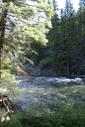 camp 2- Gallatin NF