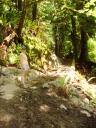 Care on trail