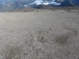 los pasos hacia la cumbre del nevado del ruiz