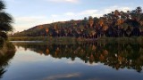 Oasis at San Ignacio, a favourite place on the B­aja­