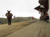 la vida del páramo