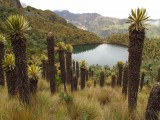 más lagunas