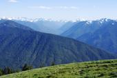 Meadow and mountains