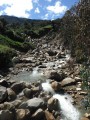 DSCF0395