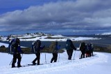 IMG_6068