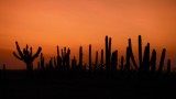 DSCF1368