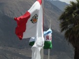 DSCF8910