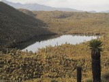 Más lagunas