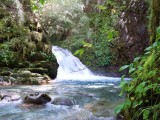CASCADA
