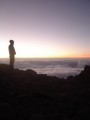 2011.02.08 - Atardecer en campo 1