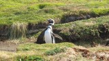 IMG_4473
