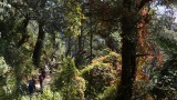 Bhutan, Trekking 2012.009