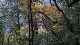 Bhutan, Trekking 2012.015