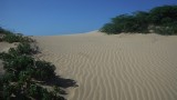 Dunas de Taroa