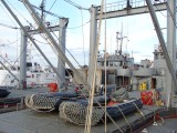 Botes Infanteria de Marina para desembarco en la Isla