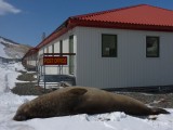 South Georgia Post Office