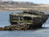 The Jhelum, wrecked in Stanley harbor in 1870.­