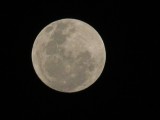 Luna de despedida