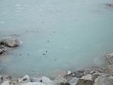DSCF8667