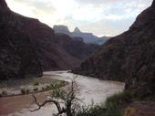 Muddy colorado river