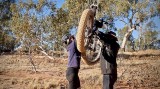 Bob helps me with my bike over the first barbed wire fence on Henbury Station