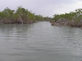 Laberinto de canales
