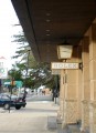DSC00667_1