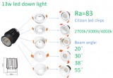 13w led down light