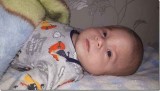 sdfsd