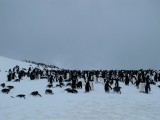 IMG_1696