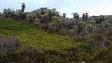 IMG_1890