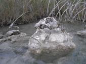 Zonas de muchas piedras y bajo nivel de agua