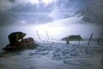 Northern Patagonian Icecap crossing 2009