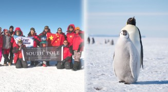 South Pole Emperor Odyssey 2015