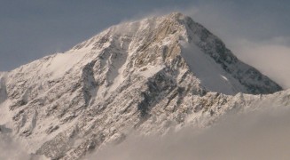 Expedición Palena (Ramita de Montaña, FAU)