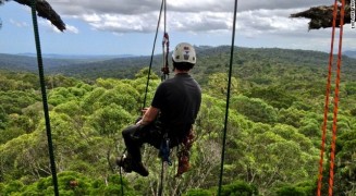 Tree Climbing en Panguipulli