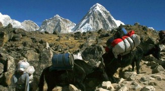 Everest 2011 con Angel Ezequiel Armesto