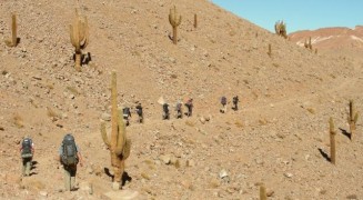 Wharton Atacama Leadership Venture 2011