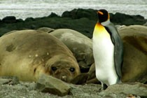 Wharton Antarctica Leadership Venture 2009/10