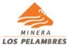 Minera Los Pelambres